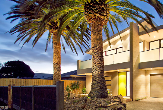 Palm Tree Trimming and Pruning in Hurstbridge